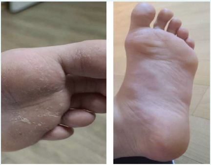 0c398811aa37c30763025bc82f8863b5_1751446501_8419.png 0c398811aa37c30763025bc82f8863b5_1751446501_8419.png