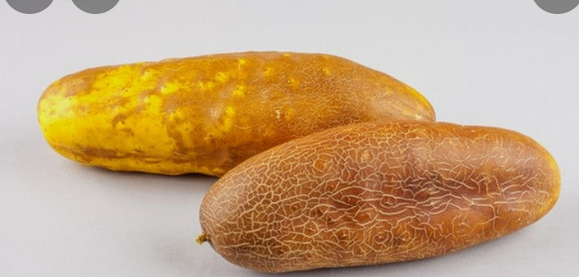 865727ef0c02d8d0ec99d45624c80083_1752571444_901.png 865727ef0c02d8d0ec99d45624c80083_1752571444_901.png