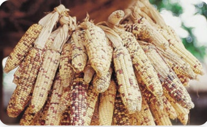 865727ef0c02d8d0ec99d45624c80083_1752571461_6809.png 865727ef0c02d8d0ec99d45624c80083_1752571461_6809.png