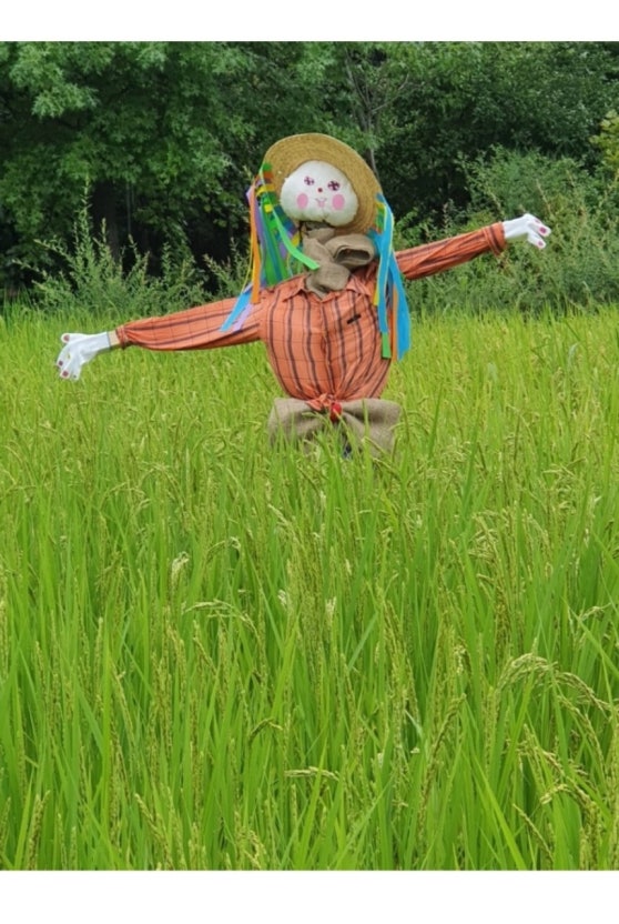 865727ef0c02d8d0ec99d45624c80083_1752571633_9519.jpg 865727ef0c02d8d0ec99d45624c80083_1752571633_9519.jpg